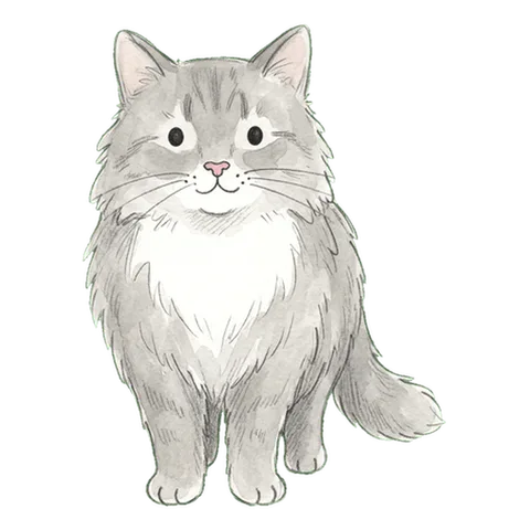 Chilly, a uncommon pet in Mariposas